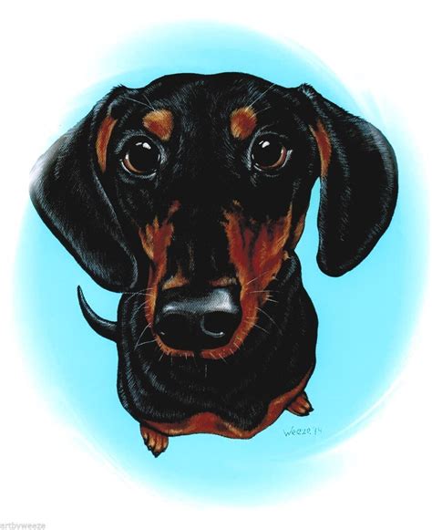 Dachshund Clube | Dachshund art, Dachshund painting, Black and tan dachshund