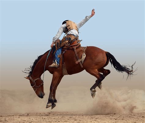 Bucking Rodeo Horse - Fill Your Plate Blog