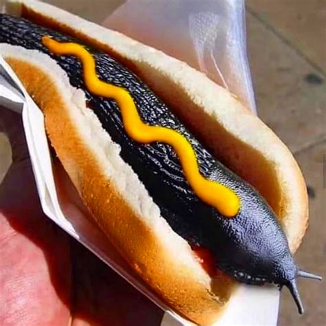 Cursed hot dog : r/Cursed_Images