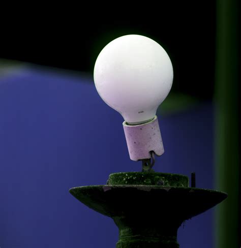 Bare Light Bulb Free Stock Photo - Public Domain Pictures