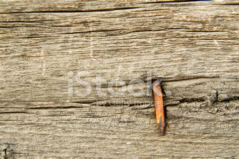 Barn Wood Background Stock Photo | Royalty-Free | FreeImages