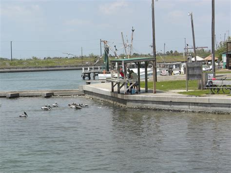 sylvesterstravelusa: Aransas Pass, TX Kayaking