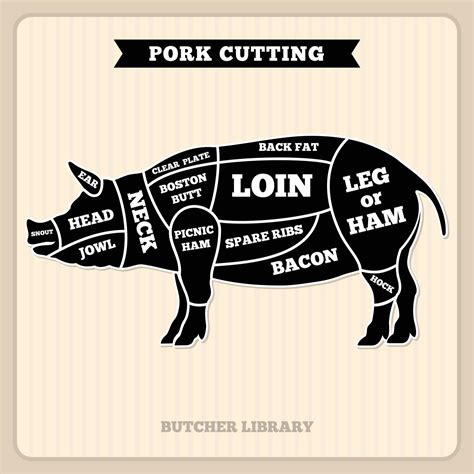 Pork, pig meat cutting vector vintage chart, cuts guide diagram By Microvector | TheHungryJPEG