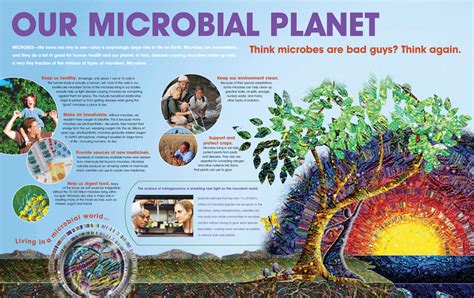 MICROBIAL WORLD: PRINCIPLES OF MICROBIAL ECOLOGY