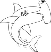 Hammerhead Shark Coloring Pages