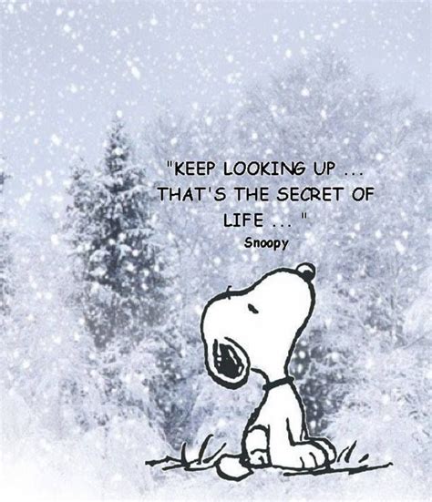 Snoopy Christmas Quotes. QuotesGram