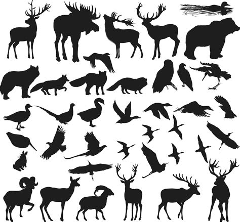 Animals Shapes Silhouettes Vectors (.eps) Free Vector Download - 3axis.co