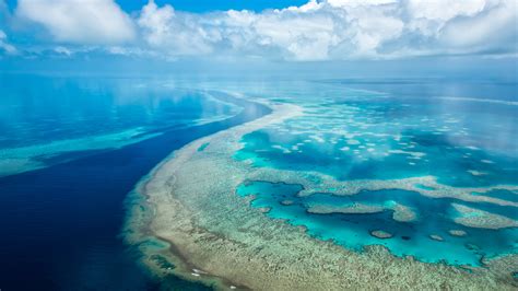 Microsoft Surface Hub Great Barrier Reef #4K #4K #wallpaper #hdwallpaper #desktop | Ocean ...