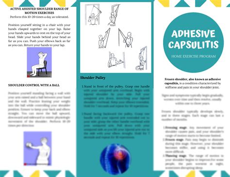 SOLUTION: Physical Therapy Adhesive Capsulitis Home Exercise Program Brochure - Studypool