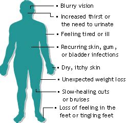 Type 2 Diabetes | Lower Blood Sugar | Reverse Diabetes - Diabetes Diet ...