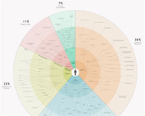 Determinants of Health Visualized