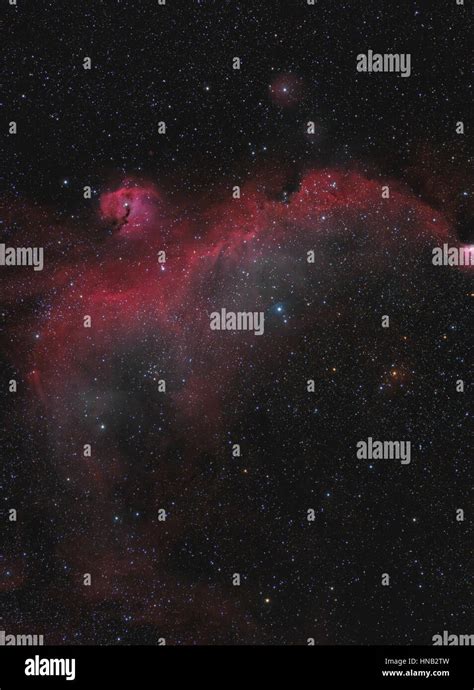 Seagull Nebula in Monoceros Stock Photo - Alamy