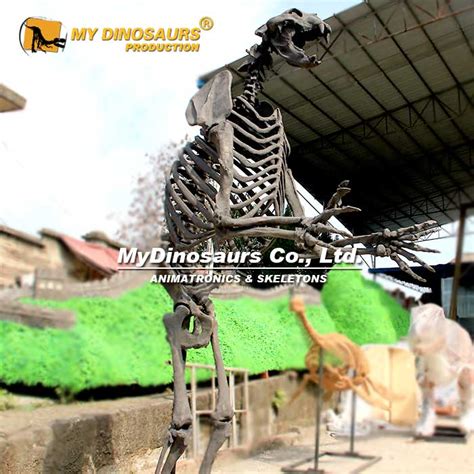 AS-009 Prehistoric Animal Skeleton Arctodus Replica | My Dinosaurs