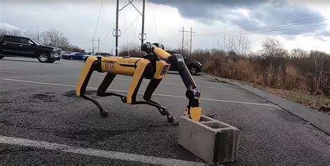 Spot the Robot Dog Is One Year Old and Has Accomplished so Much Already - autoevolution