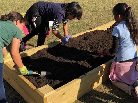 Lost Lake Elementary School Garden