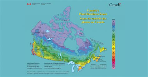 Revised plant hardiness zone coming this year - Landscape Ontario