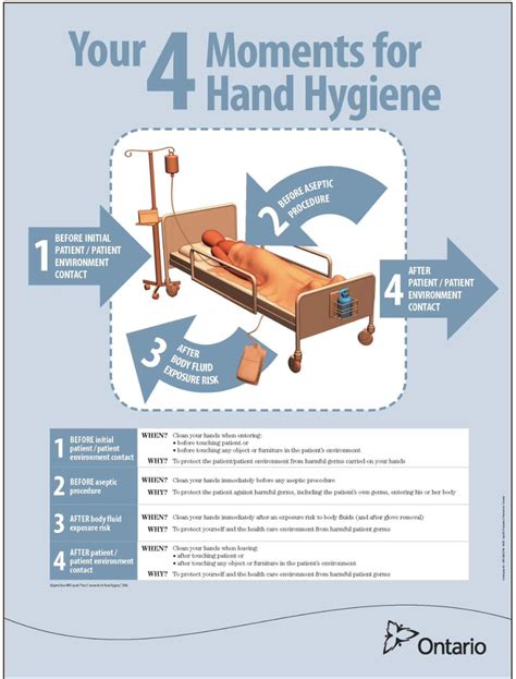 Introduction to Hand Hygiene – Introduction to Infection Prevention and Control Practices for ...