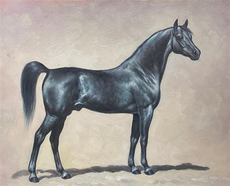 British Sporting Art - Fine Equestrian Horse Portrait British Oil ...