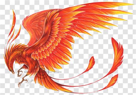 Phoenix Ibong Adarna Myth Clip Art - Chinese Mythology - Wings Transparent PNG
