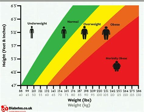 What is bmi? Draw the bmi chart - Brainly.in