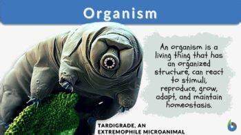 Organism - Definition and Examples - Biology Online Dictionary