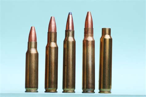 12 Great 6mm Cartridges - Shooting Times