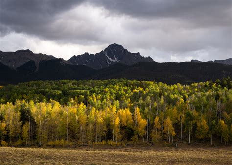 How to Photograph Fall Colors