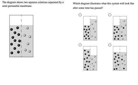 the diagram shows two aqueous solutions separated by semi permeable membrane which diagram ...