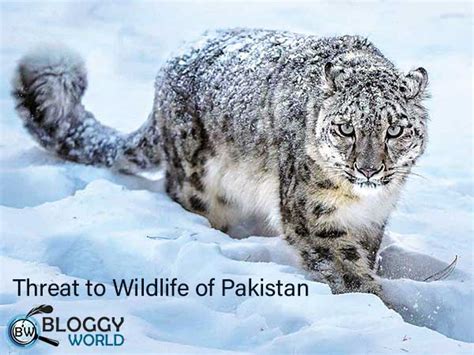 WWF-Pakistan wildlife documentary: Wildlife Diaries of Pakistan