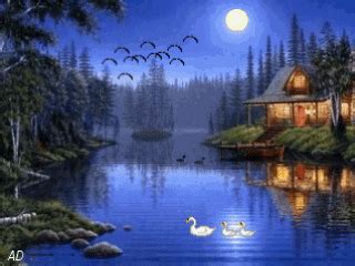 night in forest GIF - Download & Share on PHONEKY