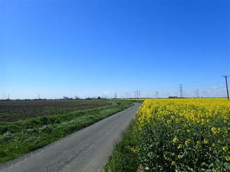 Middle Road © Marathon cc-by-sa/2.0 :: Geograph Britain and Ireland