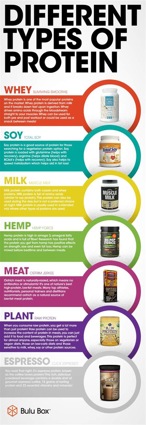 Different Types: Different Types Protein Powder