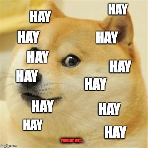 Doge Meme - Imgflip