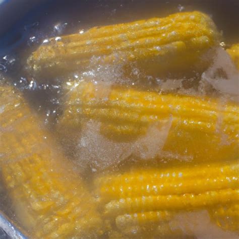 Boiling Corn On The Cob - The Cognition Sentinel