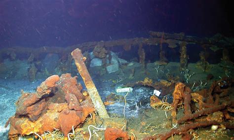 Ancient Shipwrecks In The Mediterranean Provide Insights Into The Start Of Global Trade