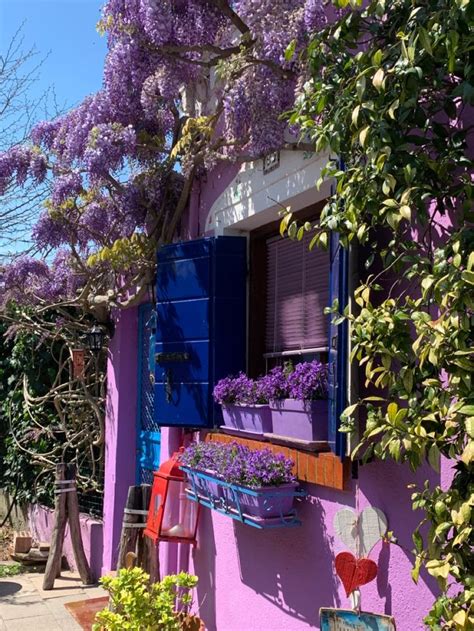 purple house with blue shutters and flowers in the window