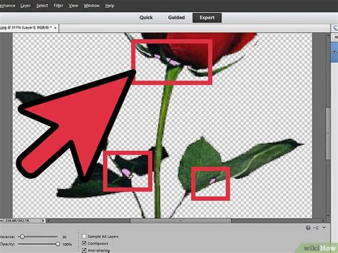 Cách để Xóa phông trong Photoshop Elements – wikiHow