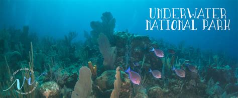 Underwater National Park in Trunk Bay - The Virgin Islands