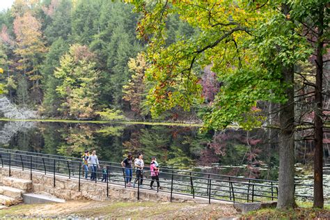 Bays Mountain Park & Planetarium - Explore Bristol