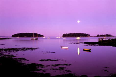 Tenants Harbor Moonrise – Jim Dugan