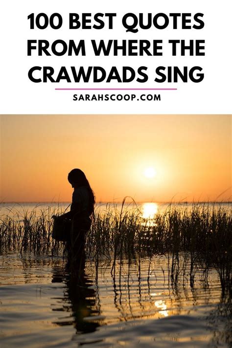 100 Best Where the Crawdads Sing Movie Quotes in 2022 | Sing movie ...