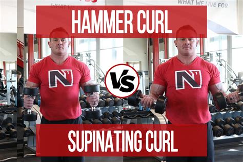 Hammer Curl VS Supinating Curl - N1 Training