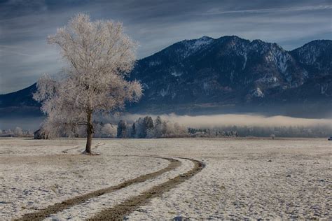 Germany, Mountains, Roads, Bavaria, Trees, Snow, HD Wallpaper | Rare Gallery