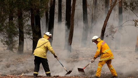 'This is terrifying': Aussie comedian's wildfire appeal raises millions ...