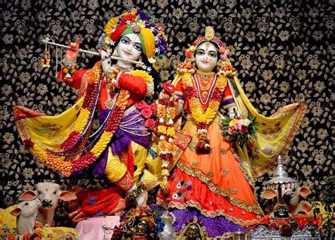 ISKCON Pune NVCC - Sri Sri Radha Vrindavanchandra | Radha krishna ...