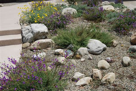 Landscape Design Drought Tolerant Plants – de.mxzim.com