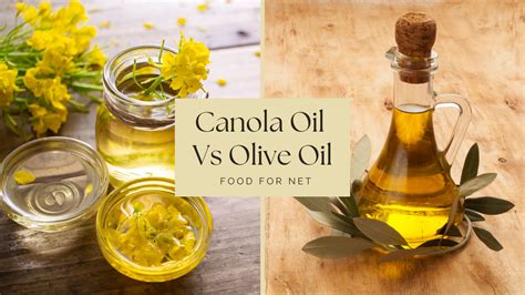 Canola Oil Vs Olive Oil: Which One Wins? | Food For Net