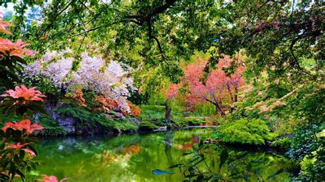 2560x1440 Beautiful Garden Nature 1440P Resolution HD 4k Wallpapers, Images, Backgrounds, Photos ...