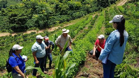 Coffee and climate change: How it is connected