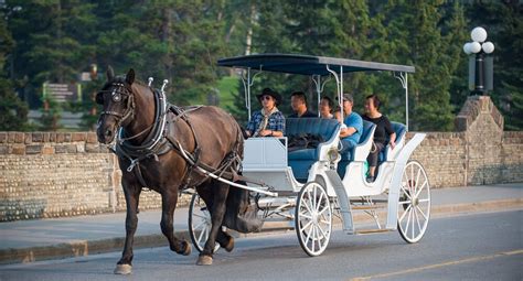 Horse Drawn Carriage Ride | Banff & Lake Louise Tourism